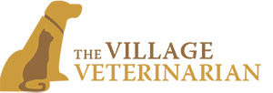 The Village Veterinarian